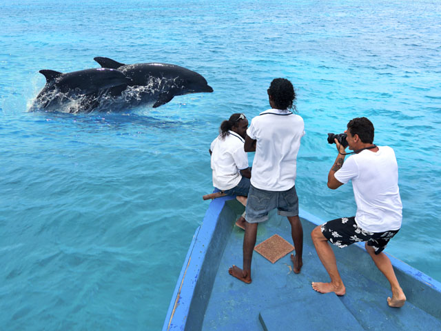 maldive_cococoonmaldives_delfini
